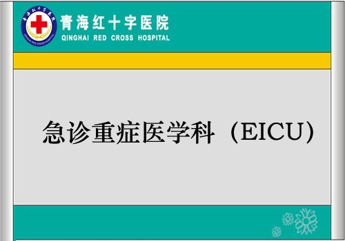 急診重癥醫(yī)學科（EICU）